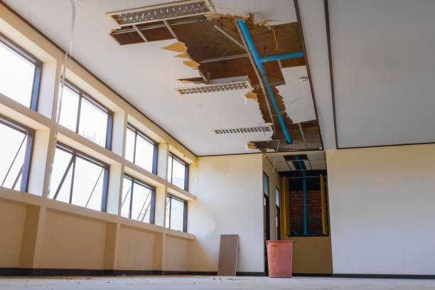 Best Water damage repair service  in Clearlake Oaks, CA