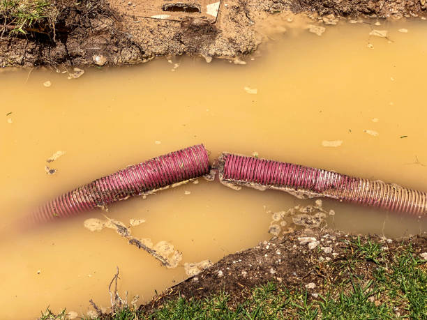 Best 24/7 water damage repair  in Clearlake Oaks, CA